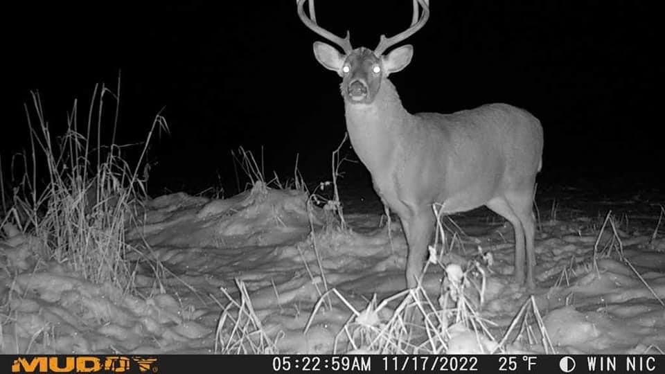 Muddy Matrix 36MP Imaging Cellular Trail Camera with On Demand Photo, Dual Network, and 80-Feet Detection Range (Mud) - Image 7
